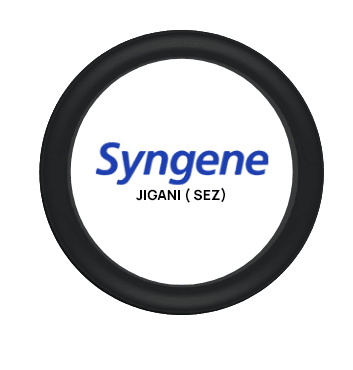 Syngene SEZ Jigani Logo Syngene SEZ Jigani Logo